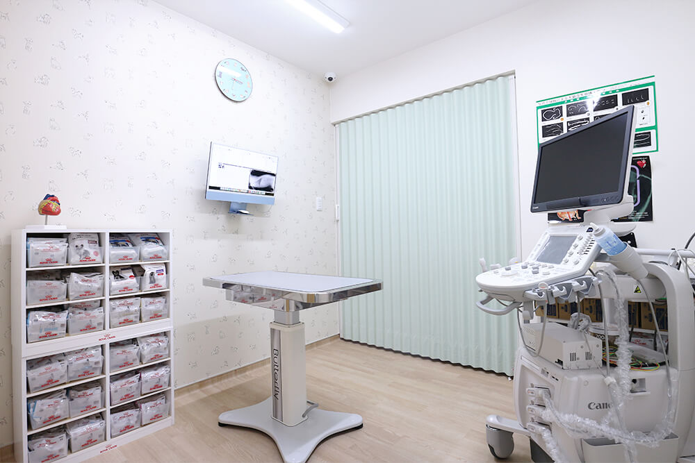 ワンちゃん用診察室は広めの空間です。