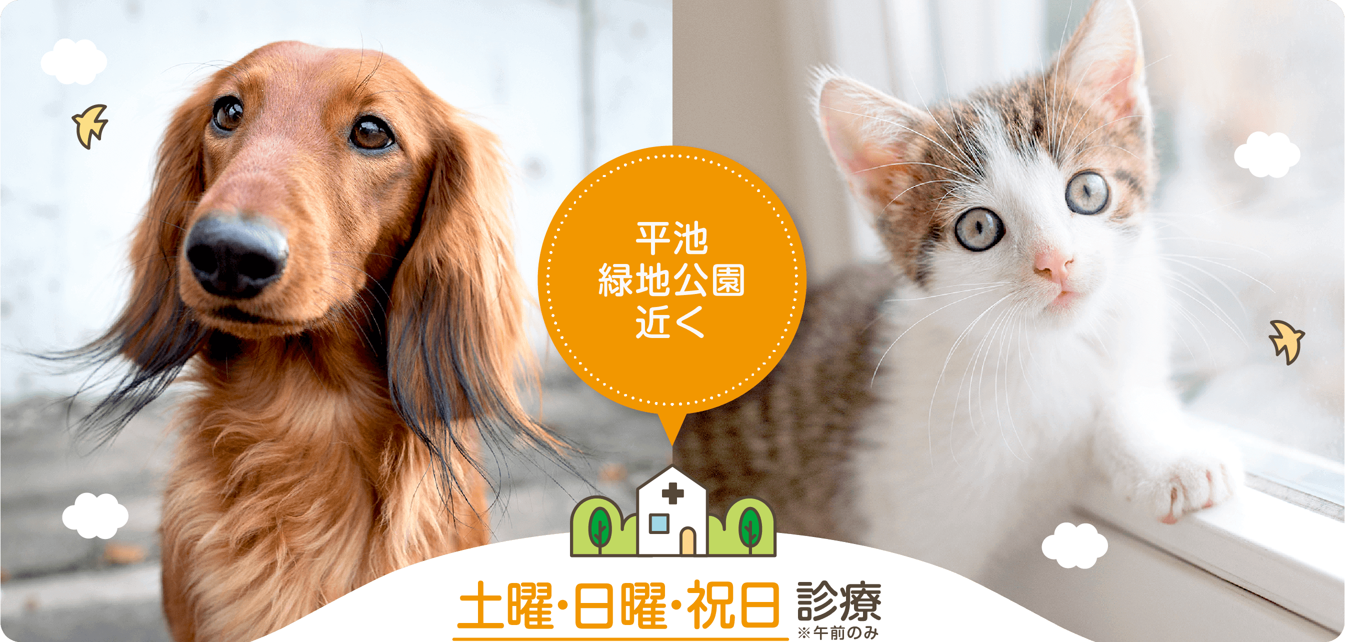 和歌山・紀の川の動物病院、平池緑地公園近くの『ひらいけ動物病院』では、犬、猫の診療を土曜・日曜・祝日(※午前のみ)も行っております。
